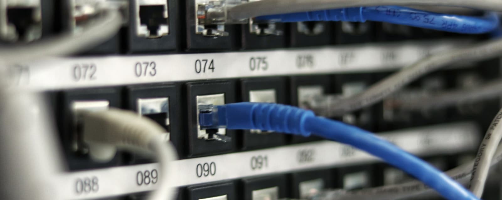 Ethernet cables patched into the numbered ports of a network panel.